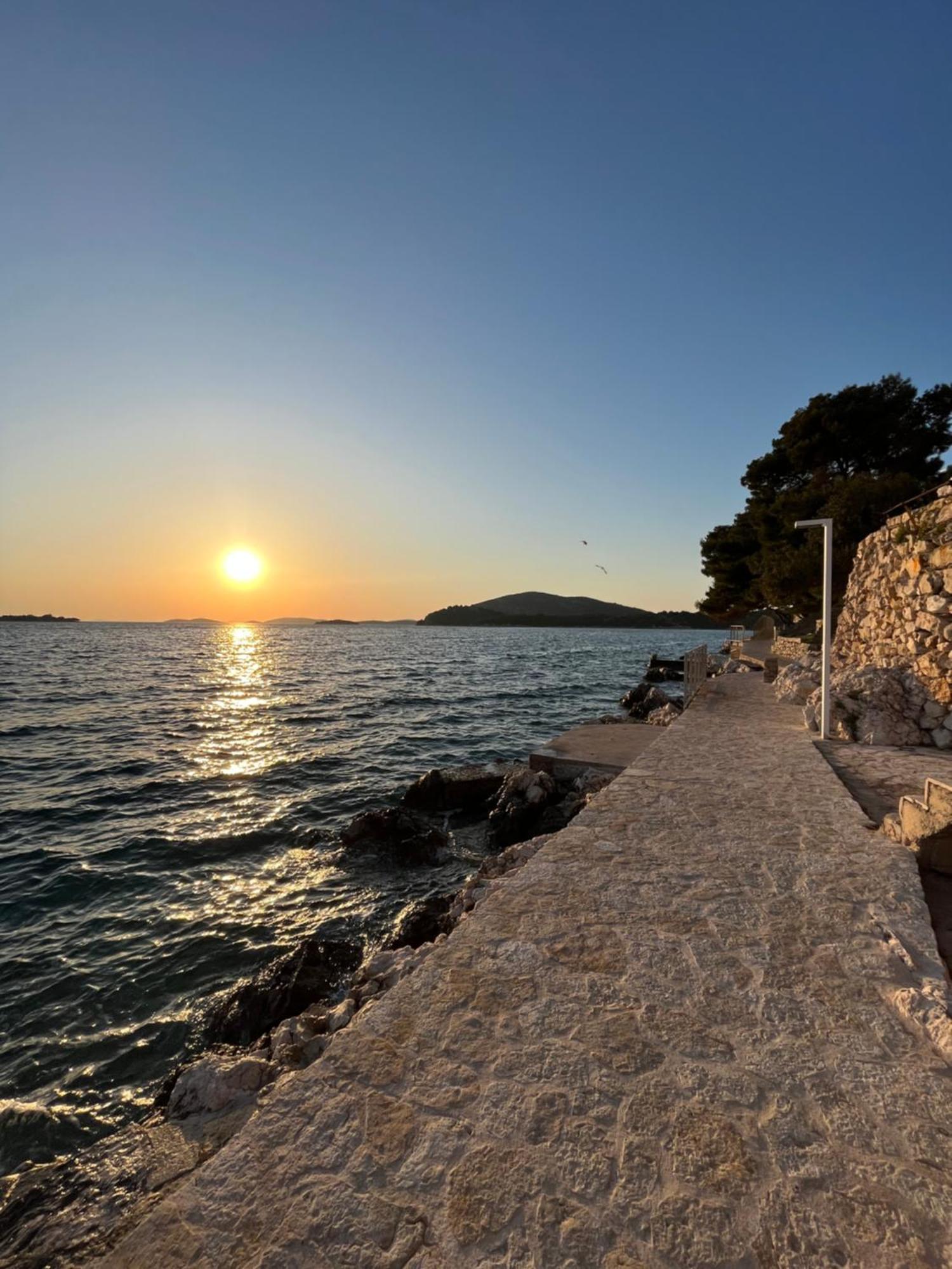 Lavanda Tribalj Dış mekan fotoğraf