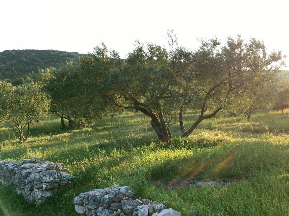 Lavanda Tribalj Dış mekan fotoğraf