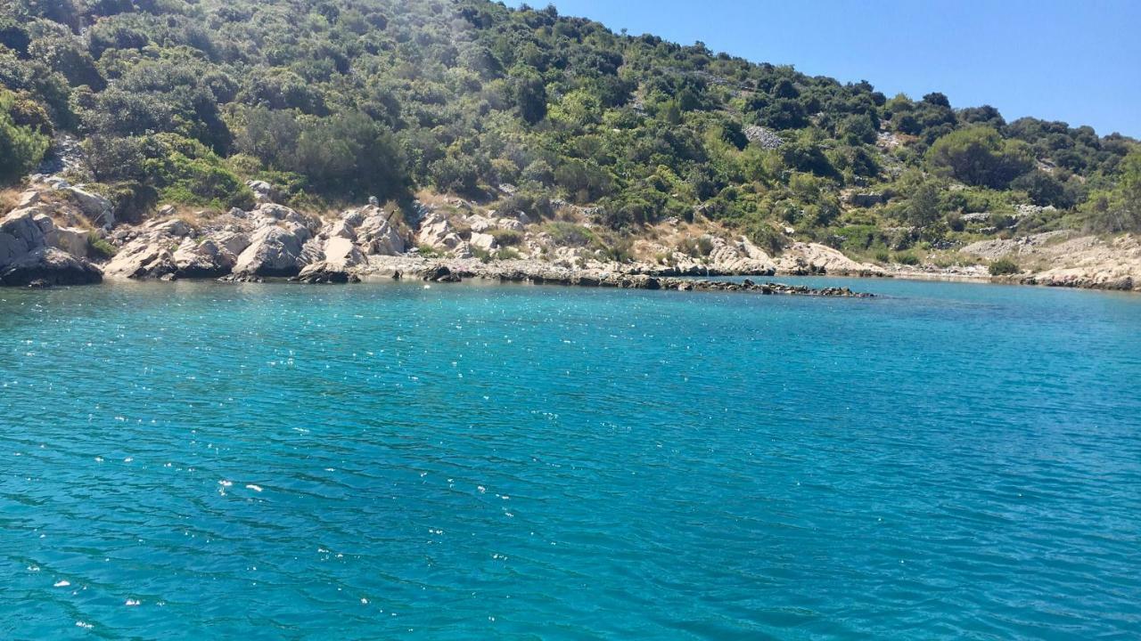 Lavanda Tribalj Dış mekan fotoğraf